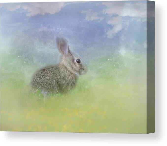 Bunnies Canvas Print featuring the photograph Bunny in the Grass by Marjorie Whitley