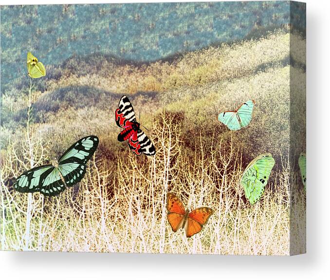 Butterflies Canvas Print featuring the digital art Butterflies at dusk by Lorena Cassady