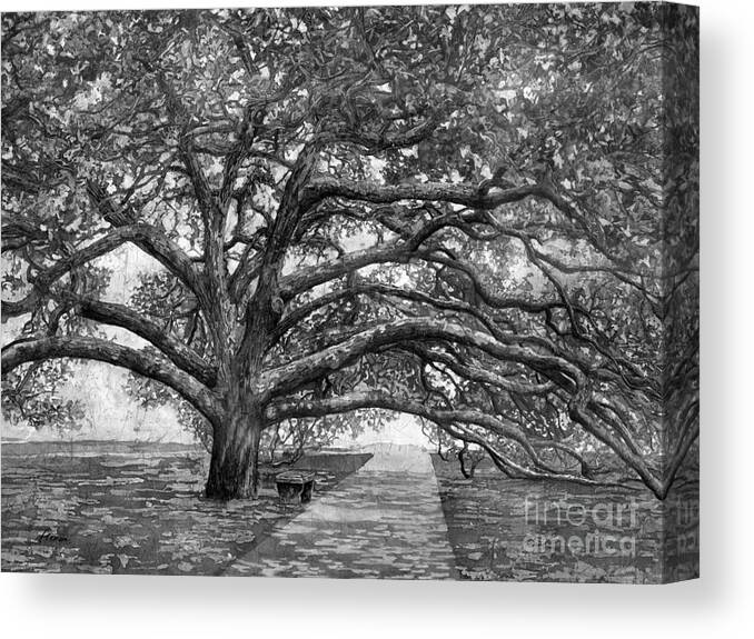 Oak Canvas Print featuring the painting Century Tree 2 in Black and White by Hailey E Herrera