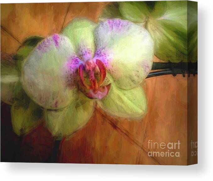Orchids Canvas Print featuring the photograph Chartreuse Orchid Paint by Diana Mary Sharpton