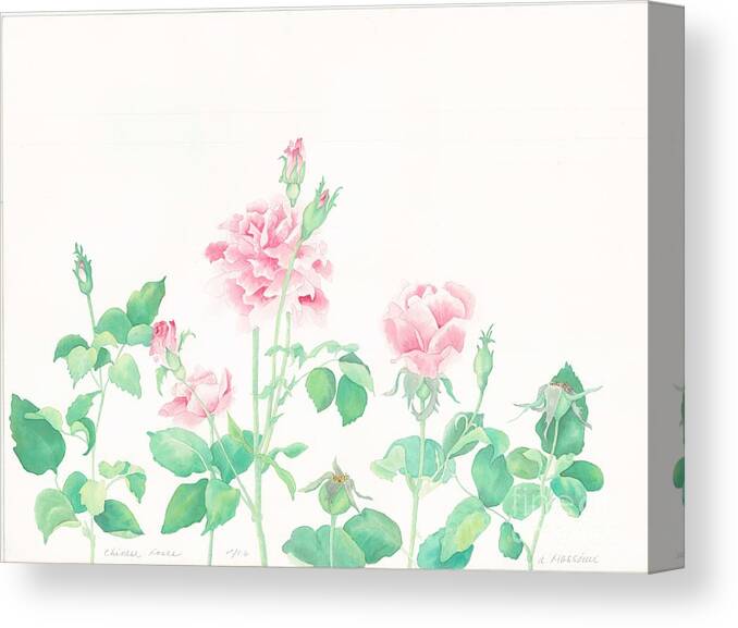 Roses Canvas Print featuring the painting Chinese Roses by Albert Massimi