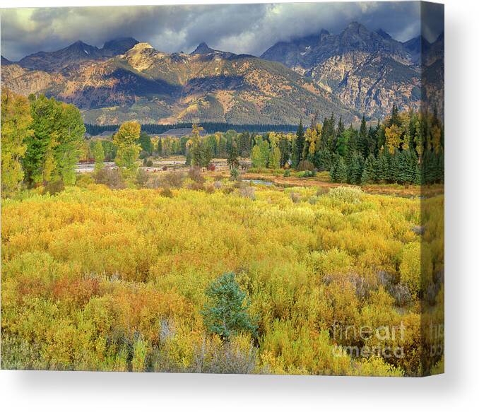 Dave Welling Canvas Print featuring the photograph Clearing Storm Blacktail Ponds Grand Tetons National Park by Dave Welling
