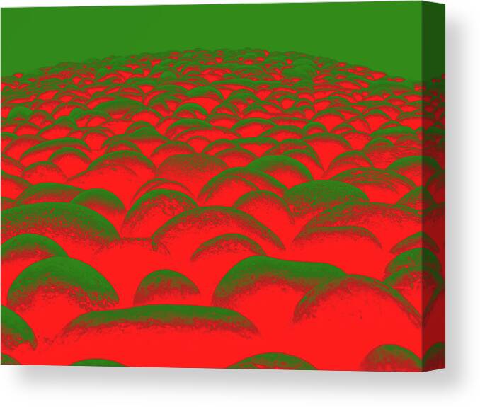 Memphis Canvas Print featuring the digital art Close Up To A Rock Wall, Bright Red And Dark Green by David Desautel