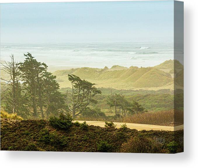  Canvas Print featuring the photograph Coastal Sand Dunes by Claude Dalley