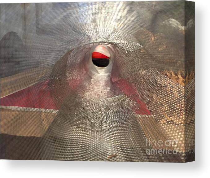 Aluminum Screen Canvas Print featuring the photograph Composite Series 1-1 by J Doyne Miller