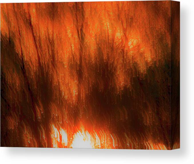 Fine-art Canvas Print featuring the photograph Concert Of Nature # 2 by Jorg Becker