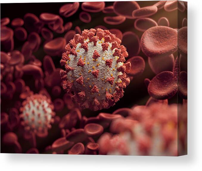 Cold And Flu Canvas Print featuring the photograph Coronavirus around blood cells by Radoslav Zilinsky