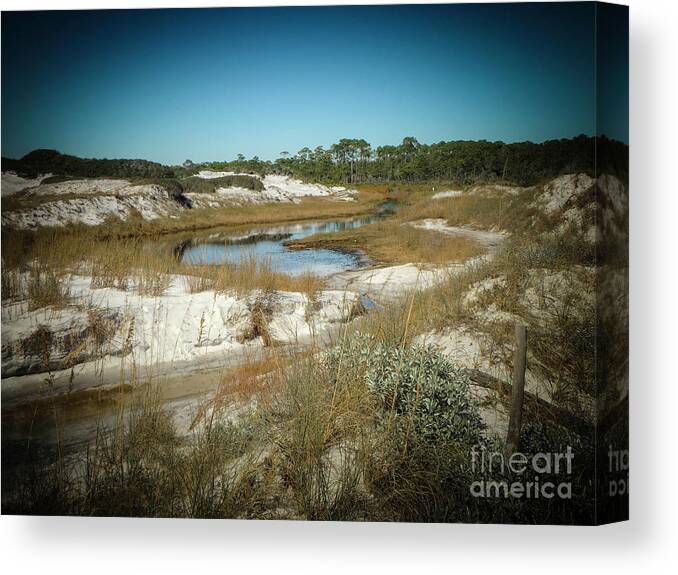 Florida Canvas Print featuring the photograph Created by Nature by Judy Hall-Folde