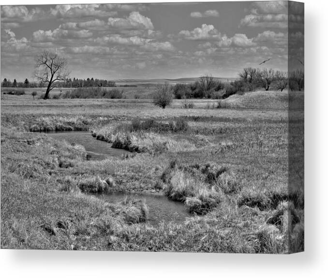 Swallows Canvas Print featuring the photograph Creek and Flying Swallows in Black and White by Amanda R Wright