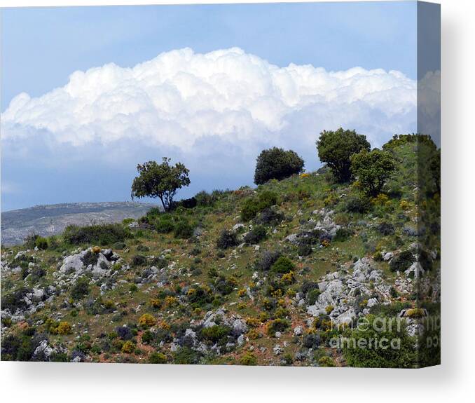 Cumulus Clouds Canvas Print featuring the photograph Cumulus Clouds - Sierra Nevada by Phil Banks