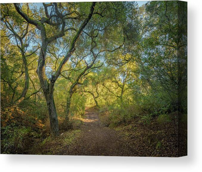 Daley Ranch Canvas Print featuring the photograph Daley Ranch - Cougar Ridge Trail by Alexander Kunz