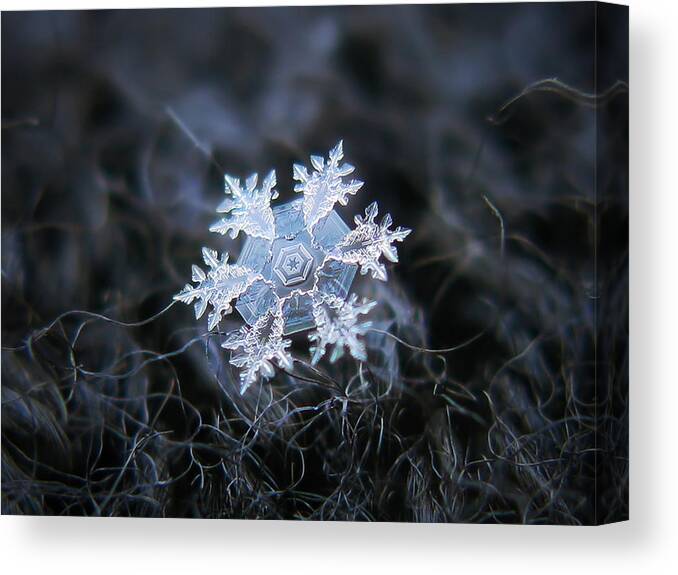 Snowflake Canvas Print featuring the photograph Dark side by Alexey Kljatov