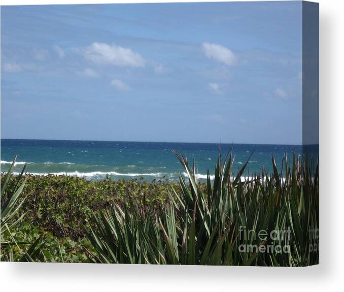 Beach Canvas Print featuring the photograph Delray Beach A1A Florida by Catherine Ludwig Donleycott