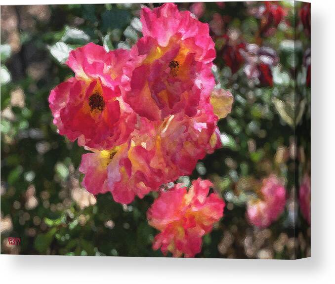 Roses Canvas Print featuring the photograph Disney Roses Five by Brian Watt