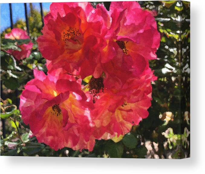 Roses Canvas Print featuring the photograph Disney Roses One by Brian Watt