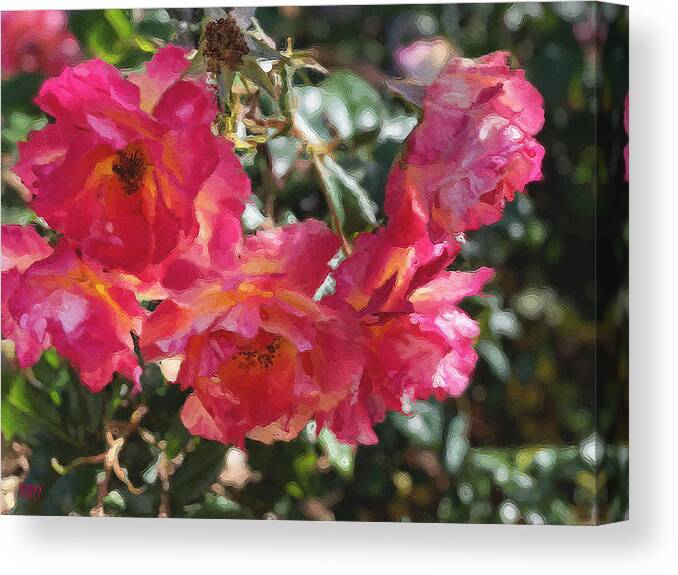 Roses Canvas Print featuring the photograph Disney Roses Three by Brian Watt