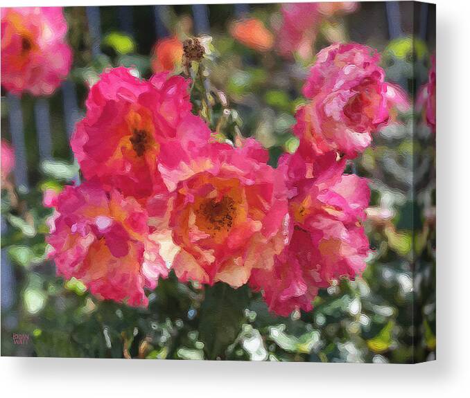 Roses Canvas Print featuring the photograph Disney Roses Two by Brian Watt