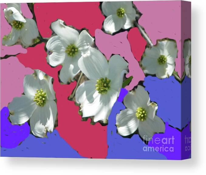 Canvas Print featuring the photograph Dogwood Blooms by Shirley Moravec