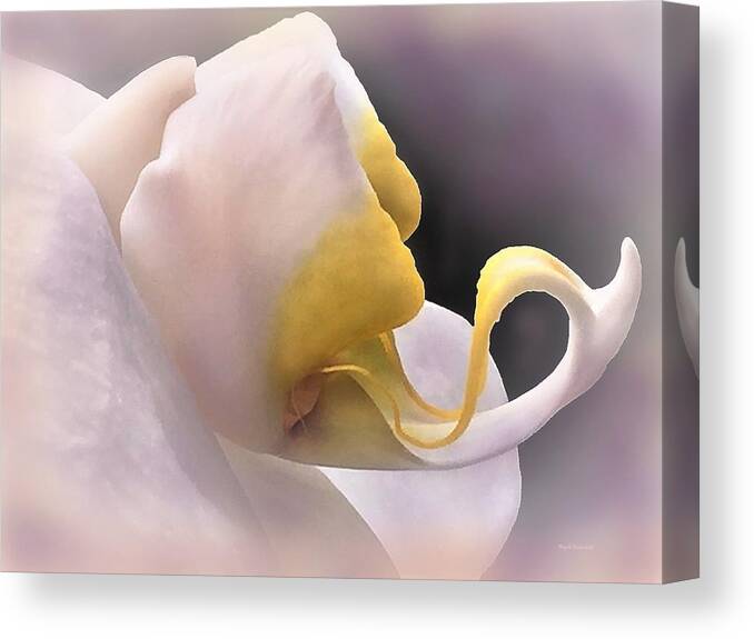 Orchid Canvas Print featuring the photograph Dragon Tongue Orchid by Angela Davies