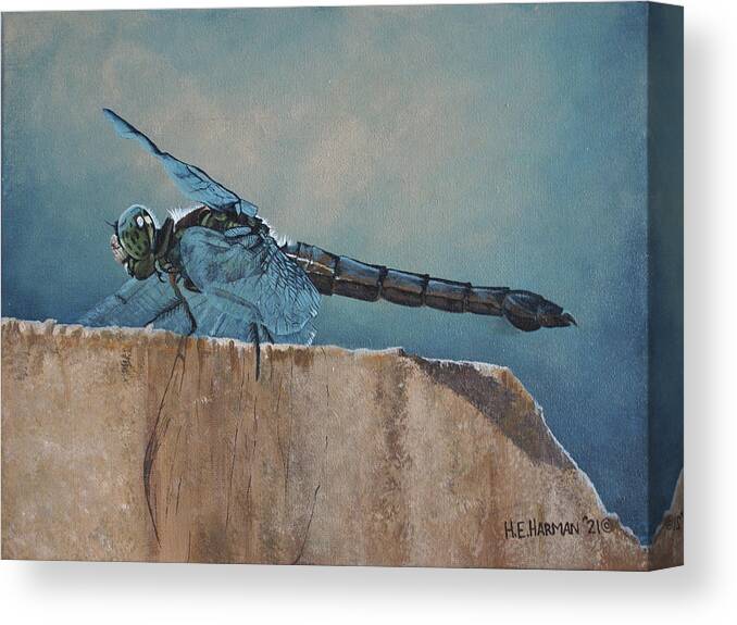Dragonfly Canvas Print featuring the painting Dragonfly by Heather E Harman