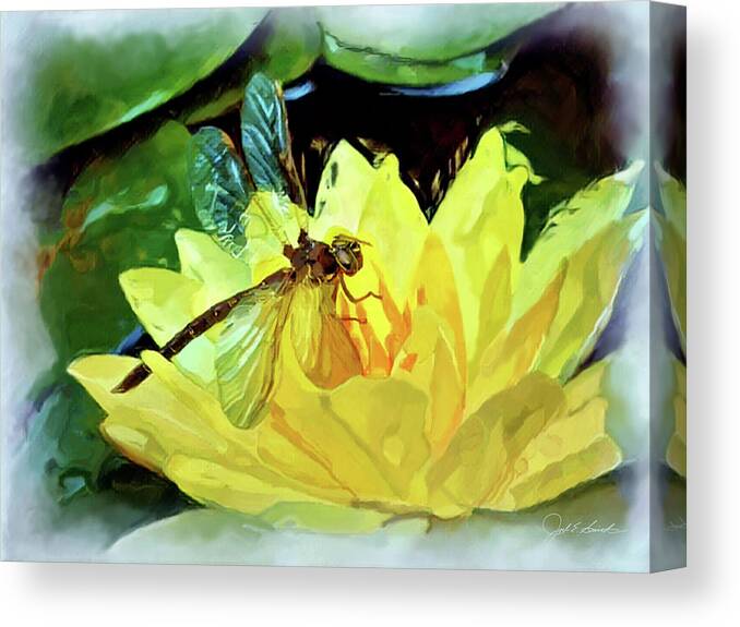 Dragonfly Canvas Print featuring the painting Dragonfly on Waterlily  by Joel Smith