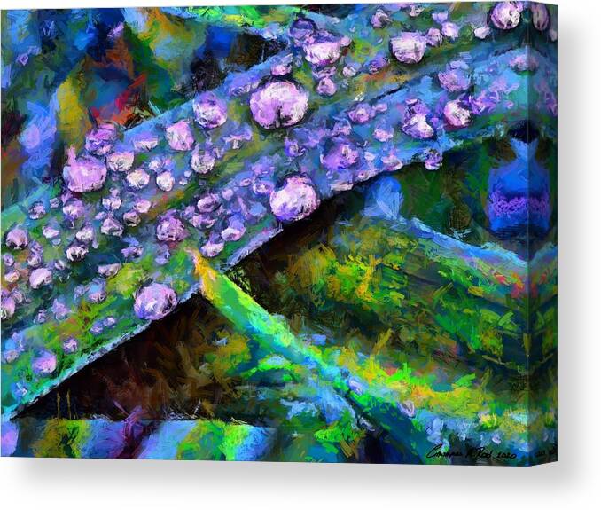 Drops Canvas Print featuring the mixed media Droplets by Christopher Reed