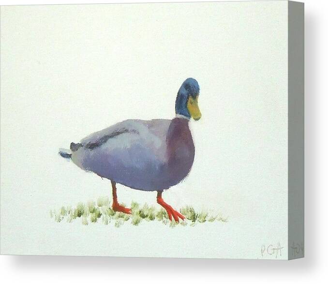 Duck Canvas Print featuring the painting Duck I by Phyllis Andrews