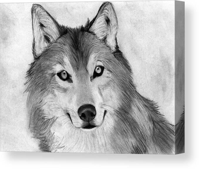 Easy Sketches With Charcoal Pencil Drawing Animals Canvas Print / Canvas  Art by Heshan Dakshina - Pixels