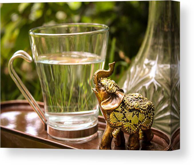 Elephant Canvas Print featuring the photograph Elephant Still Life by W Craig Photography