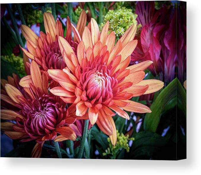 Chrysanthemums; Flowers; Orange; Fall Canvas Print featuring the photograph Fall Chrysanthemums by Georgette Grossman