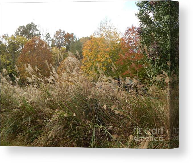 Outdoors Canvas Print featuring the photograph Fall Colors by Chris Tarpening