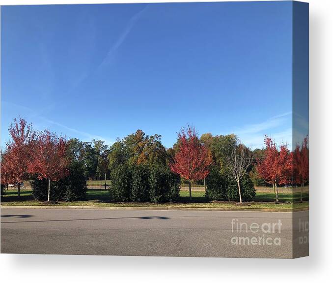 Fall Colors Canvas Print featuring the photograph Fall Colors in Colonial Heights by Catherine Wilson