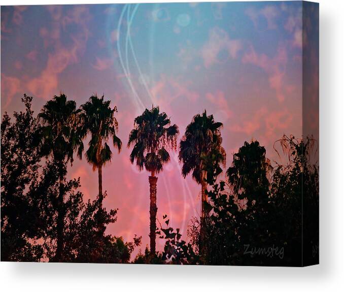 Fantasy Canvas Print featuring the photograph Fantasy Palm Trees by David Zumsteg
