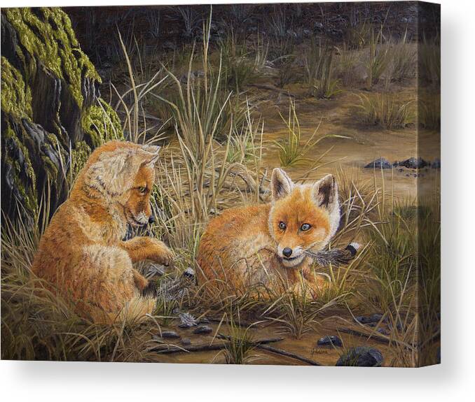 North American Wildlife Canvas Print featuring the painting Feathers - Red Fox Kits by Johanna Lerwick