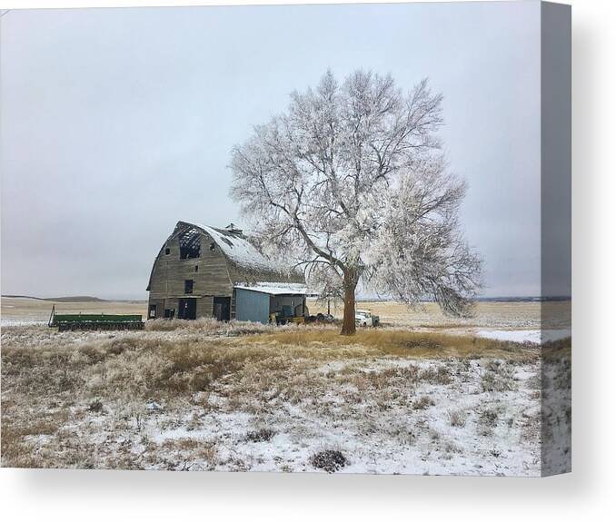 Snow Canvas Print featuring the photograph First Snow by Jerry Abbott