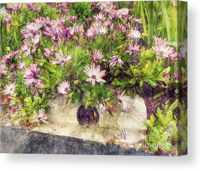 Pink Flowers Canvas Print featuring the photograph Flowers over a Storm Drain by Davy Cheng