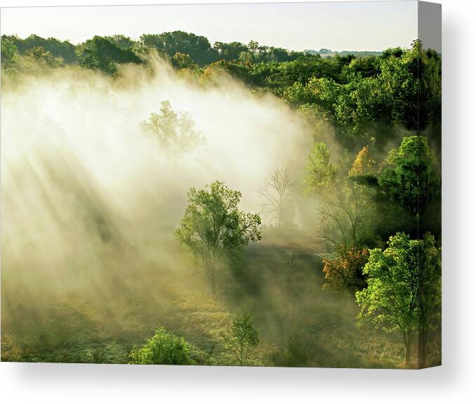 Landscape Canvas Print featuring the photograph Foggy Morning by Lens Art Photography By Larry Trager