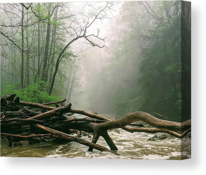 River Canvas Print featuring the photograph Foggy River by Brad Nellis