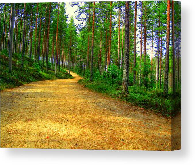 Forest Canvas Print featuring the photograph Forest trail by Pauli Hyvonen