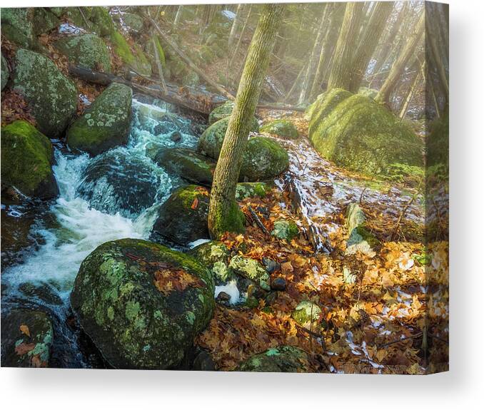 Fall Canvas Print featuring the photograph Forever Autumn by Jerry LoFaro