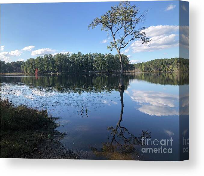 Water Canvas Print featuring the photograph Freshwater Pond by Catherine Wilson