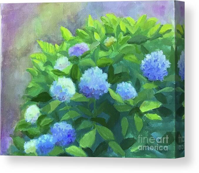 Hydrangea Canvas Print featuring the painting Front Yard Hydrangeas by Anne Marie Brown