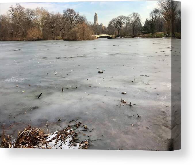  Canvas Print featuring the photograph Frozen Lake, NYC in December by Judy Frisk