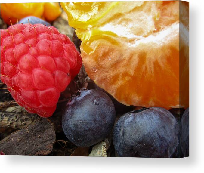 Blueberries Canvas Print featuring the photograph Fruit, Still Life by W Craig Photography