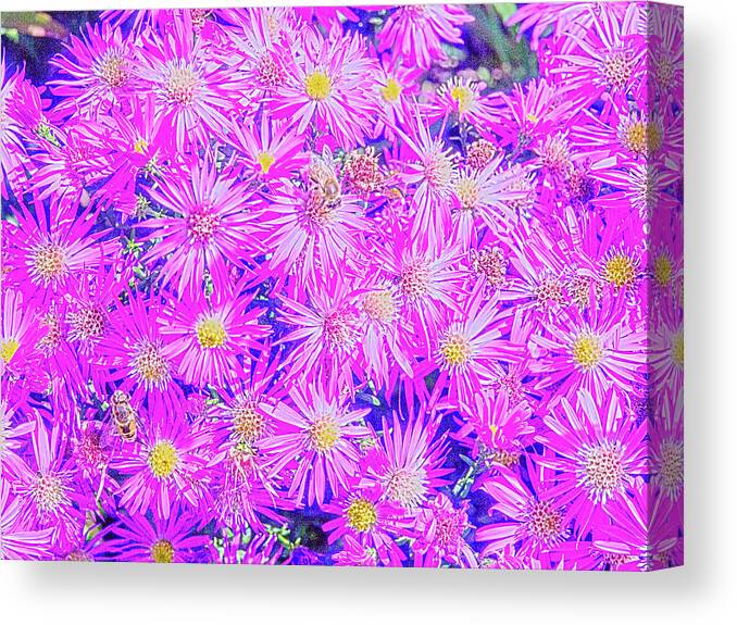 Pacific Northwest Canvas Print featuring the digital art Fuchsia Flowers On Blue by David Desautel