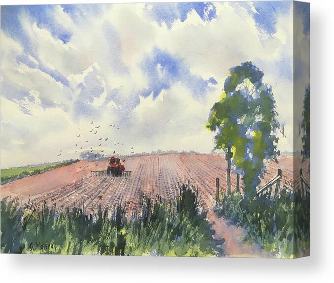 Watercolour Canvas Print featuring the painting Furrows and Gulls by Glenn Marshall