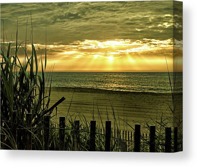 Golden Canvas Print featuring the photograph Golden Sunrise at Bethany Beach by Bill Swartwout