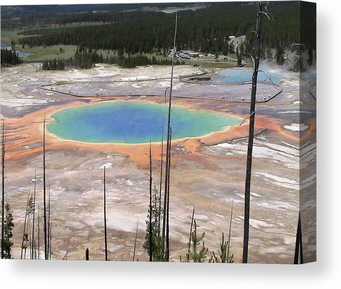 Grand Canvas Print featuring the photograph Grand Prismatic Spring by Carl Moore