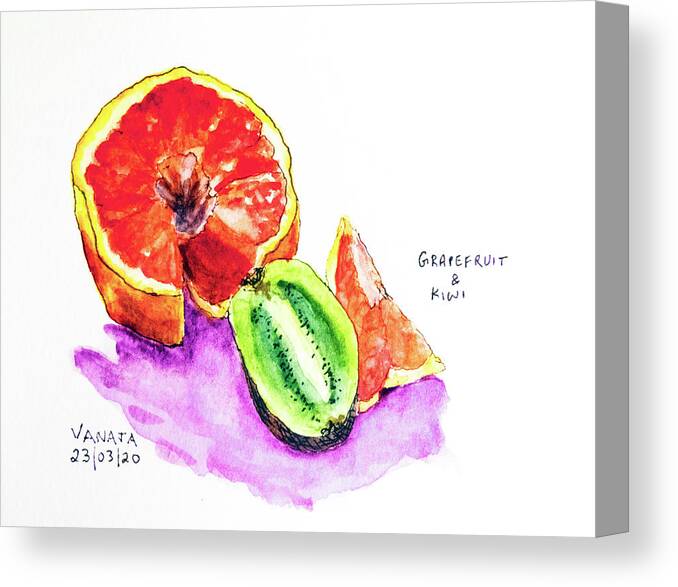 Pen And Ink Canvas Print featuring the painting Grapefruit and Kiwi by Vanaja's Fine-Art