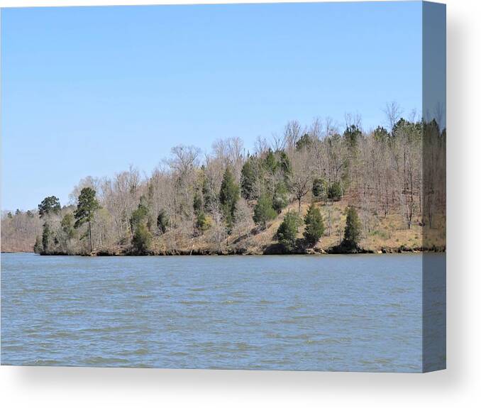 Trees Canvas Print featuring the photograph Green Tree Lake Framing by Ed Williams